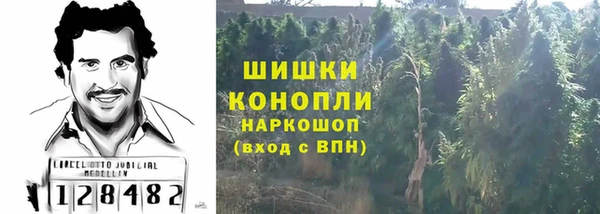 стаф Аркадак