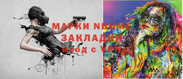 стаф Аркадак