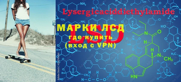 стаф Аркадак