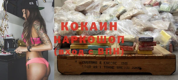 гашик Надым