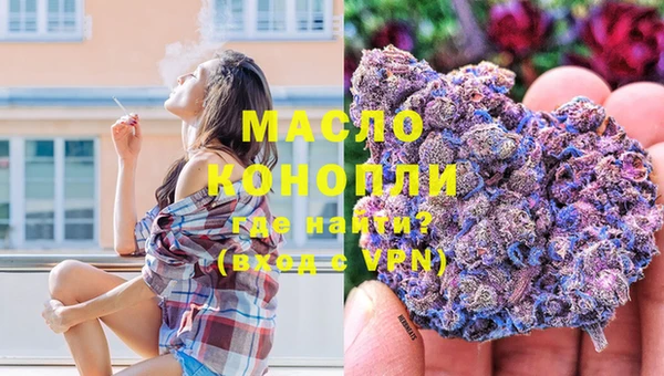 стаф Аркадак
