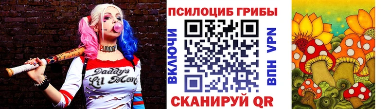 Купить где Бабушкин Псилоцибиновые грибы Psilocybine cubensis